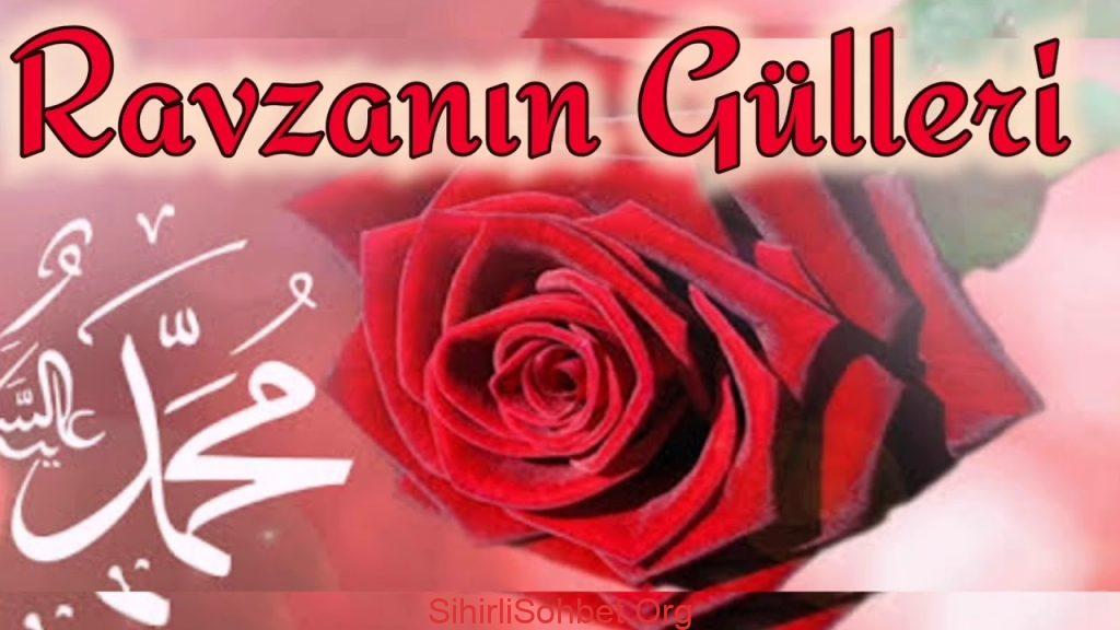 Ravza Gülü Sesli Sohbet, Ravza Gülü Sesli Chat Odaları – Ücretsiz, Ravza Gülü Sesli Chat Odaları Nasıl Kullanılır, Ravza Gülü Sesli Kameralı Chat Siteleri ve Odaları,