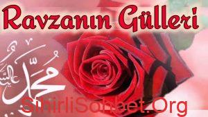 Ravza Gülü Sesli Sohbet, Ravza Gülü Sesli Chat Odaları – Ücretsiz, Ravza Gülü Sesli Chat Odaları Nasıl Kullanılır, Ravza Gülü Sesli Kameralı Chat Siteleri ve Odaları,
